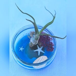 Handmade Ocean Themed Air Plant Dish